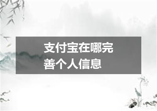 支付宝在哪完善个人信息