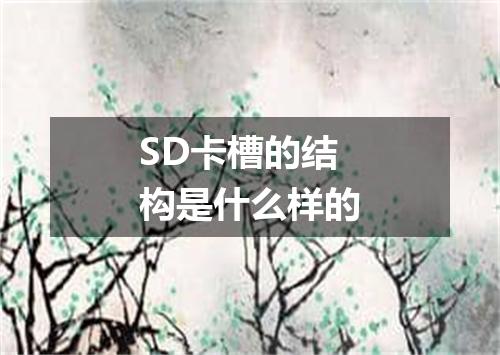 SD卡槽的结构是什么样的