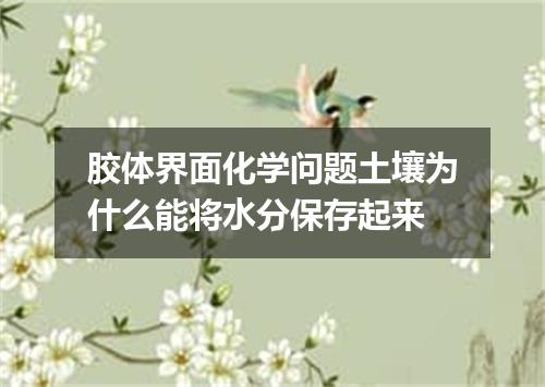 胶体界面化学问题土壤为什么能将水分保存起来