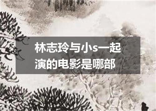 林志玲与小s一起演的电影是哪部