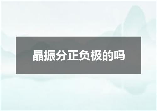 晶振分正负极的吗