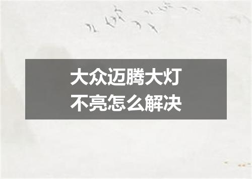 大众迈腾大灯不亮怎么解决