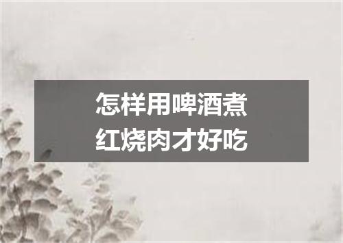 怎样用啤酒煮红烧肉才好吃