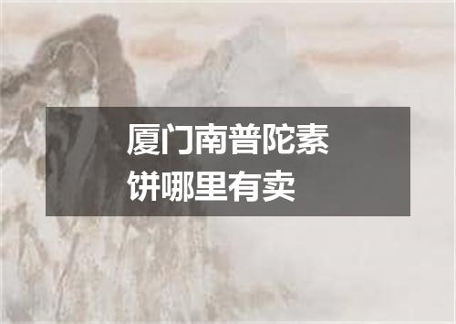 厦门南普陀素饼哪里有卖