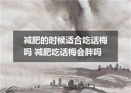 减肥的时候适合吃话梅吗 减肥吃话梅会胖吗