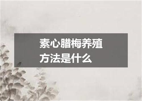 素心腊梅养殖方法是什么