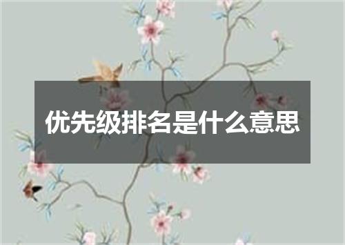 优先级排名是什么意思