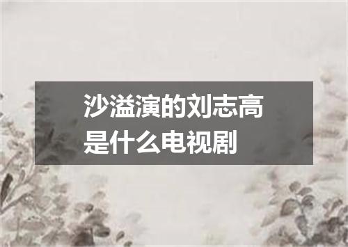 沙溢演的刘志高是什么电视剧