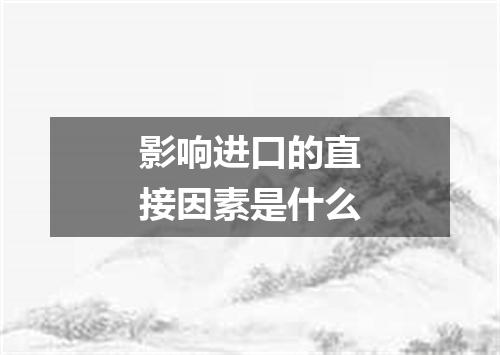 影响进口的直接因素是什么