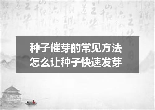 种子催芽的常见方法 怎么让种子快速发芽
