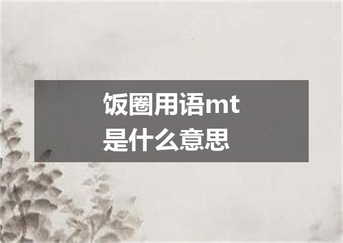 饭圈用语mt是什么意思