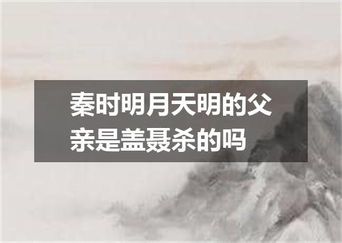 秦时明月天明的父亲是盖聂杀的吗