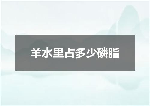羊水里占多少磷脂
