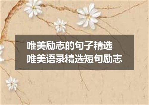 唯美励志的句子精选 唯美语录精选短句励志