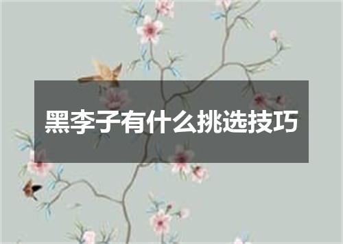 黑李子有什么挑选技巧