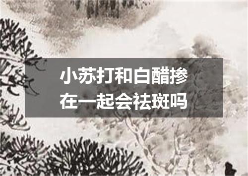 小苏打和白醋掺在一起会祛斑吗