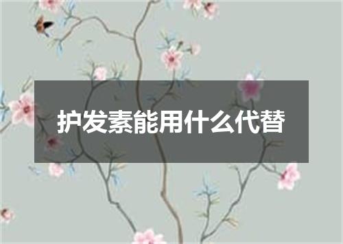 护发素能用什么代替