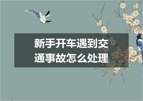 新手开车遇到交通事故怎么处理