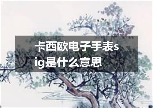 卡西欧电子手表sig是什么意思