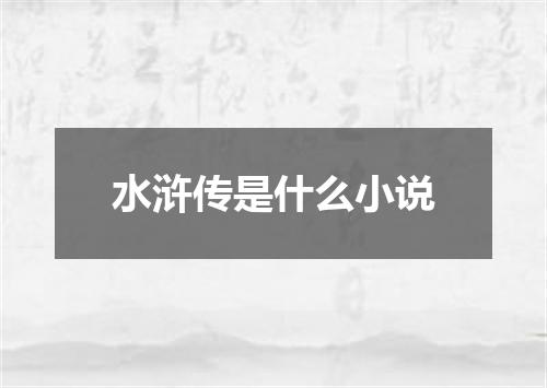 水浒传是什么小说