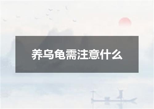 养乌龟需注意什么