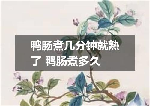 鸭肠煮几分钟就熟了 鸭肠煮多久