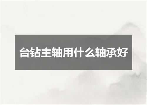 台钻主轴用什么轴承好