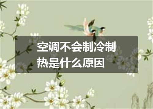 空调不会制冷制热是什么原因