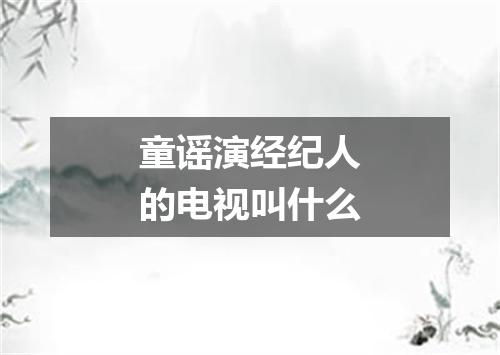 童谣演经纪人的电视叫什么