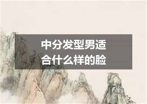 中分发型男适合什么样的脸