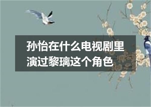 孙怡在什么电视剧里演过黎璃这个角色