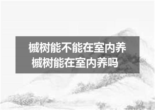 槭树能不能在室内养 槭树能在室内养吗
