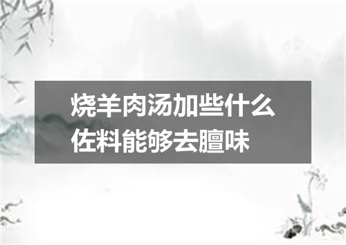 烧羊肉汤加些什么佐料能够去膻味