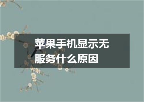 苹果手机显示无服务什么原因