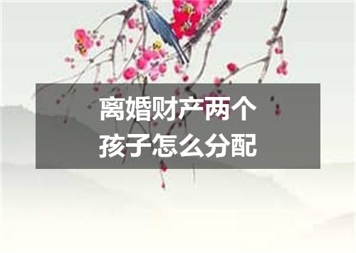 离婚财产两个孩子怎么分配