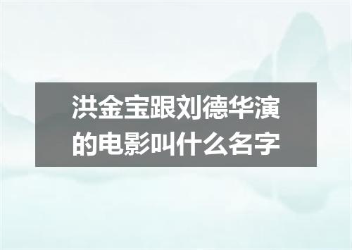 洪金宝跟刘德华演的电影叫什么名字