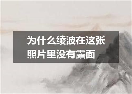 为什么绫波在这张照片里没有露面