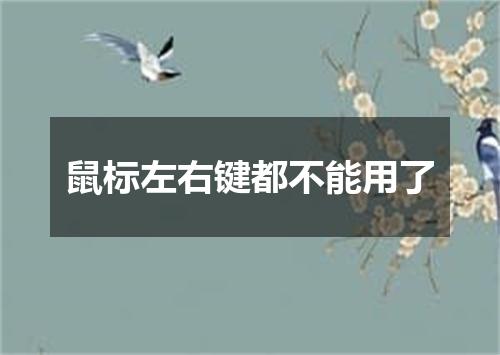 鼠标左右键都不能用了