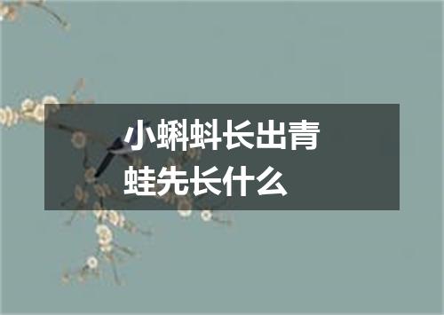 小蝌蚪长出青蛙先长什么