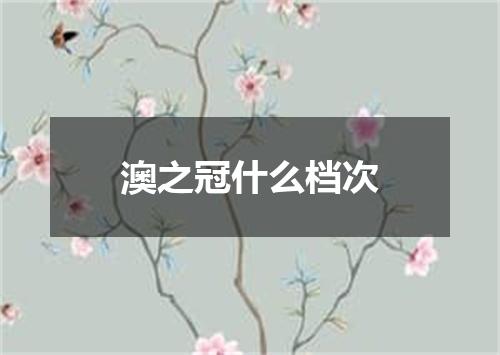 澳之冠什么档次