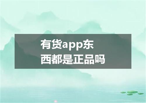 有货app东西都是正品吗