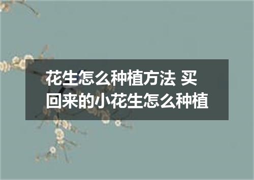 花生怎么种植方法 买回来的小花生怎么种植