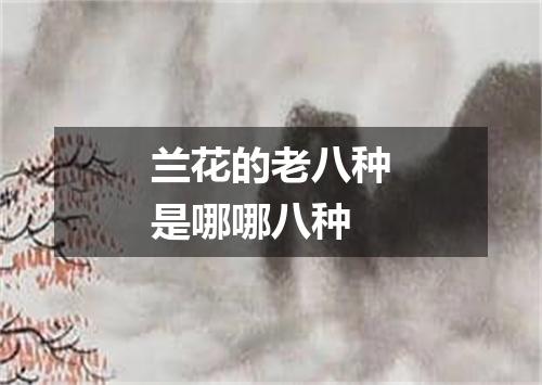 兰花的老八种是哪哪八种