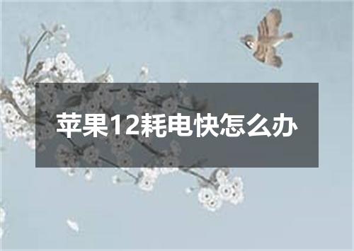 苹果12耗电快怎么办