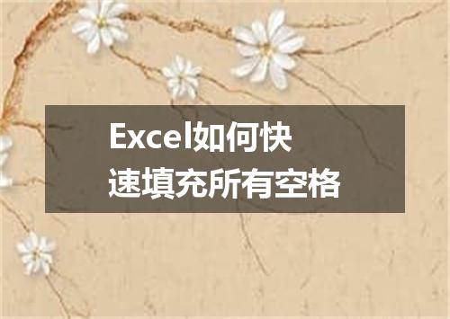 Excel如何快速填充所有空格