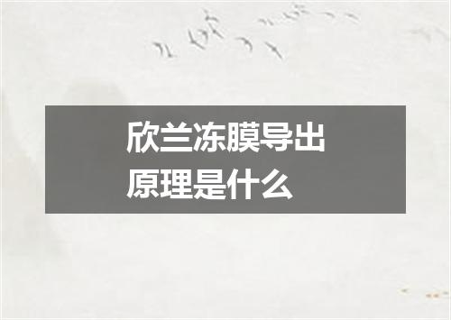 欣兰冻膜导出原理是什么