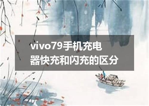 vivo79手机充电器快充和闪充的区分