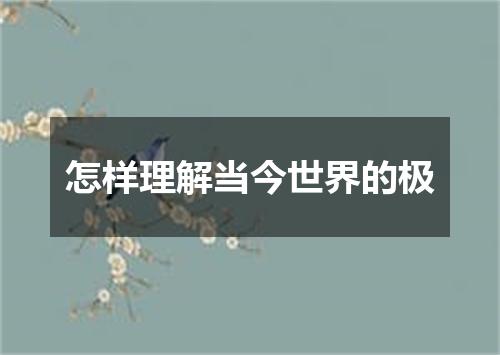 怎样理解当今世界的极