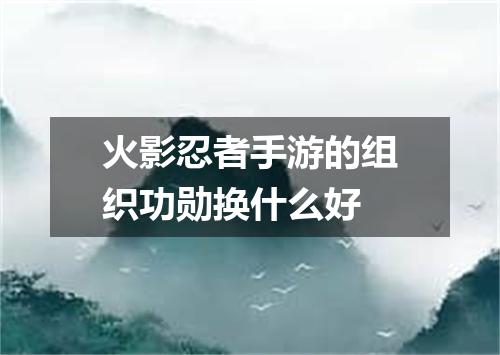 火影忍者手游的组织功勋换什么好