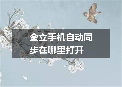 金立手机自动同步在哪里打开